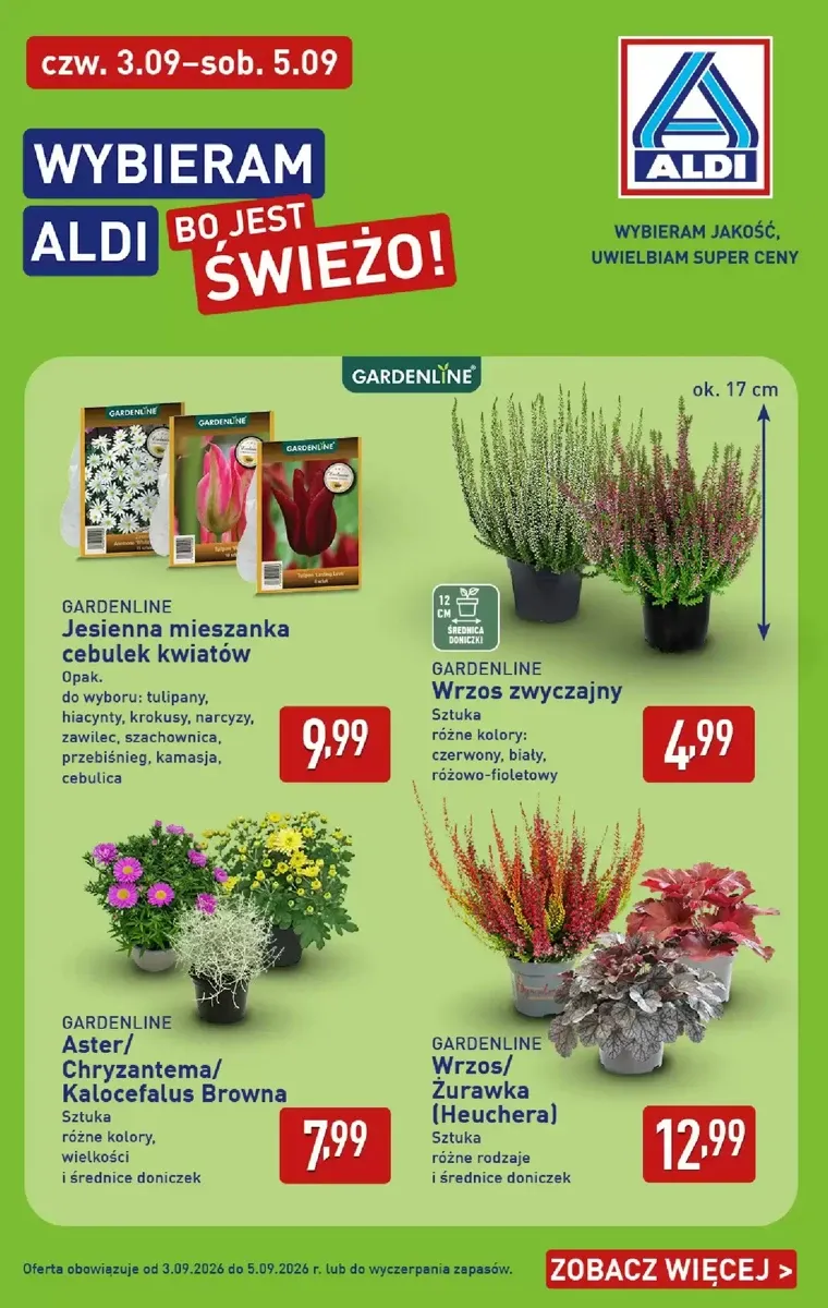 Gazetka Aldi, strona 38 z 49