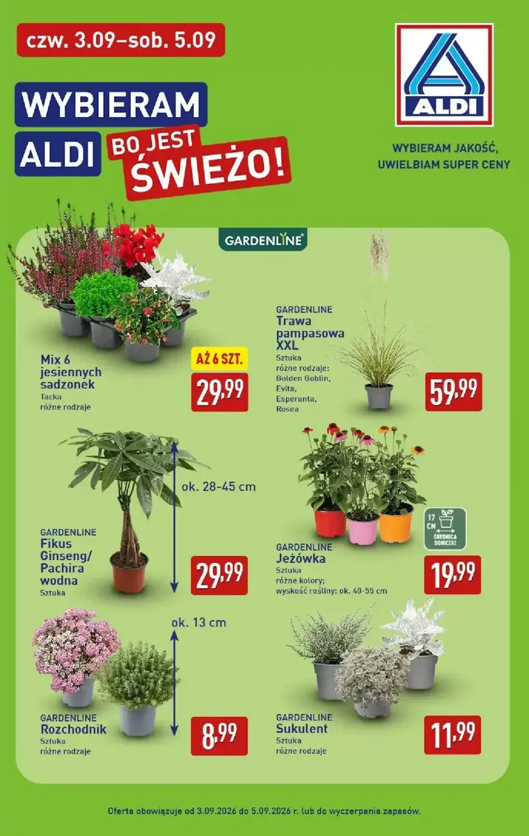 Gazetka Aldi, strona 39 z 49