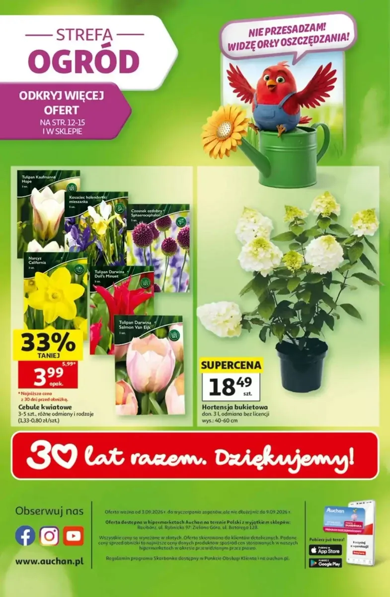 Gazetka Auchan, strona 49 z 49