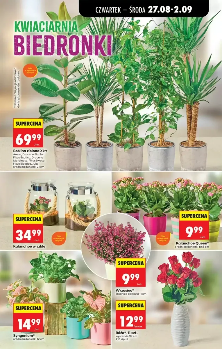 Gazetka Biedronka, strona 77 z 91
