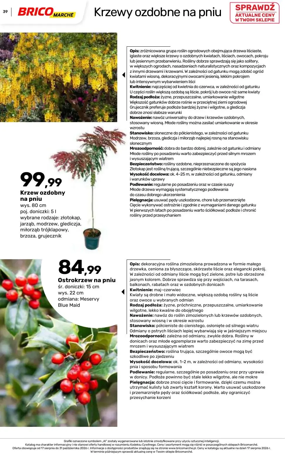 Gazetka Bricomarché, strona 39 z 112