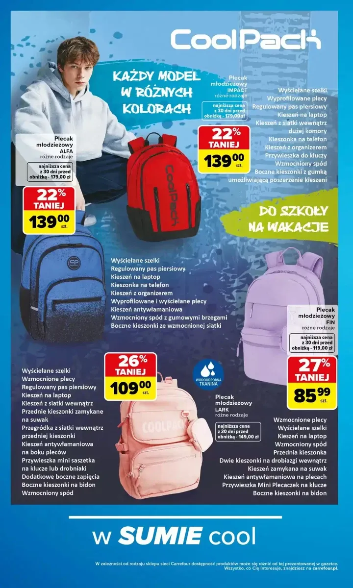 Gazetka Carrefour, strona 10 z 17