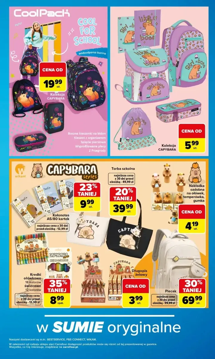 Gazetka Carrefour, strona 13 z 17