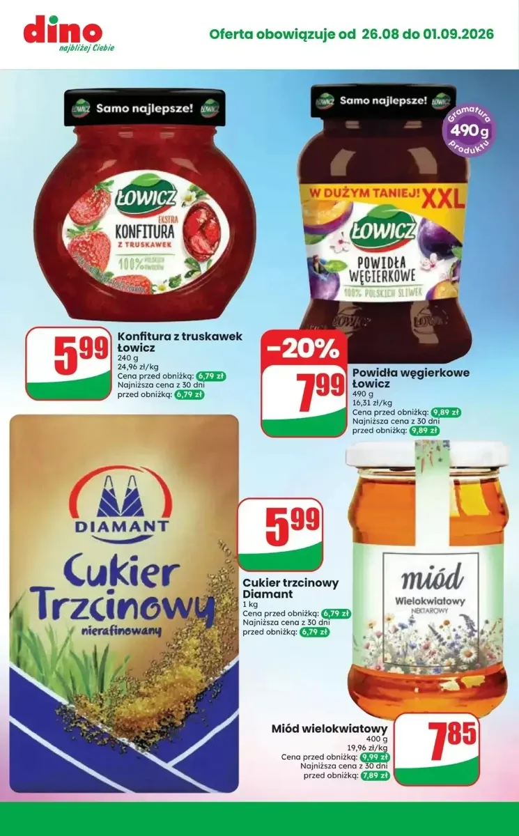 Gazetka Dino, strona 10 z 10