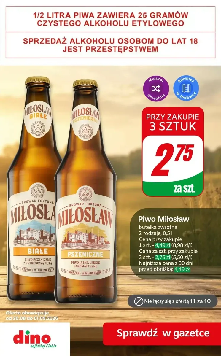 Gazetka Dino, strona 10 z 10