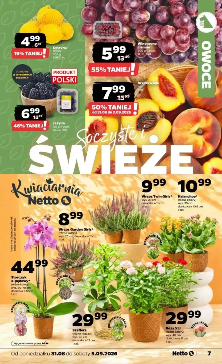 Gazetka Netto, strona 7 z 36