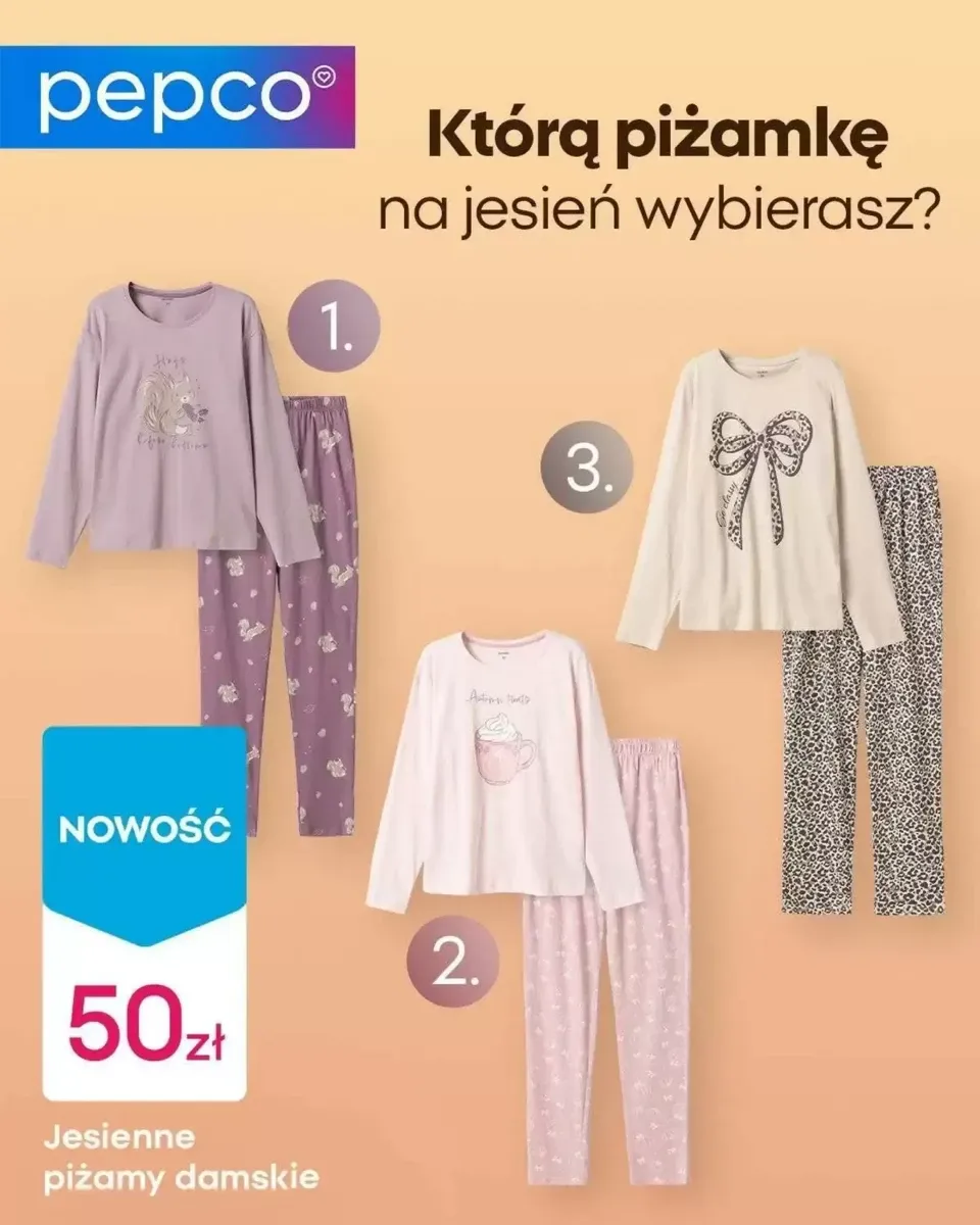 Gazetka Pepco, strona 1 z 1