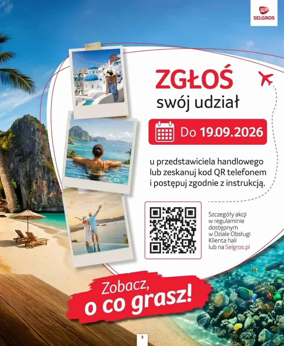 Gazetka Selgros, strona 3 z 39